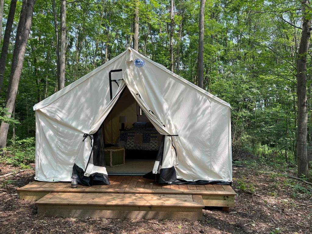 Naturluxe & Stars Watkins Glen Exterior foto